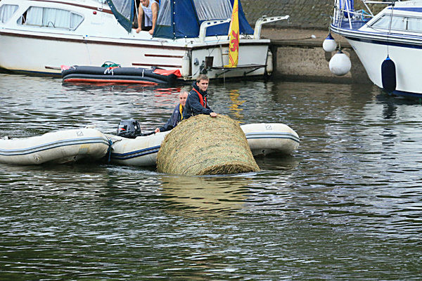 IMGL6441 - DRAGON BOAT RACE 2014 York Rotary Club