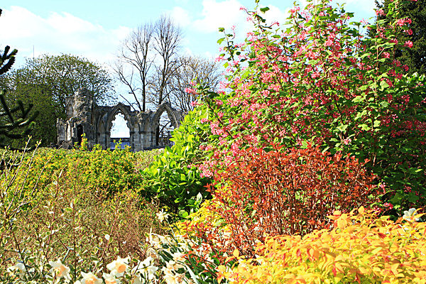 IMG_3275 - MUSEUM GARDENS