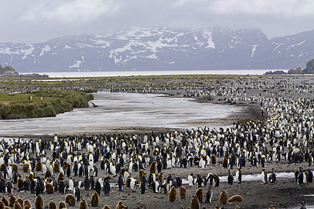  - ANTARCTICA NOV 2014