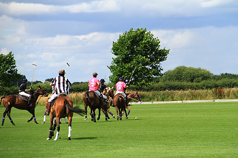 IMG_7629 - WHITE ROSE POLO CLUB LADIES DAY