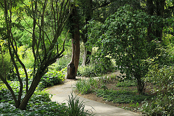 IMGL5603 - MUSEUM GARDENS