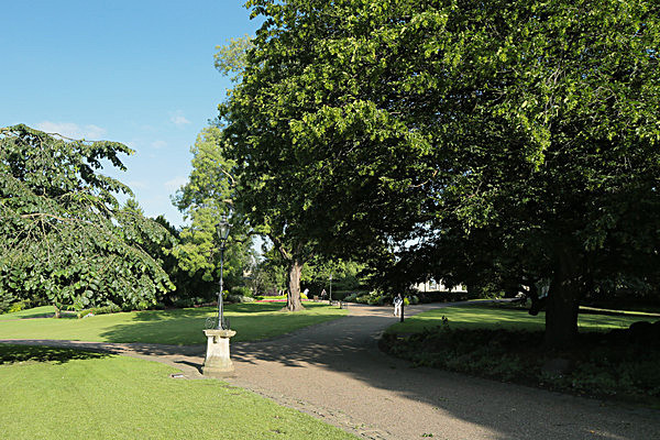 IMGL7598 - MUSEUM GARDENS