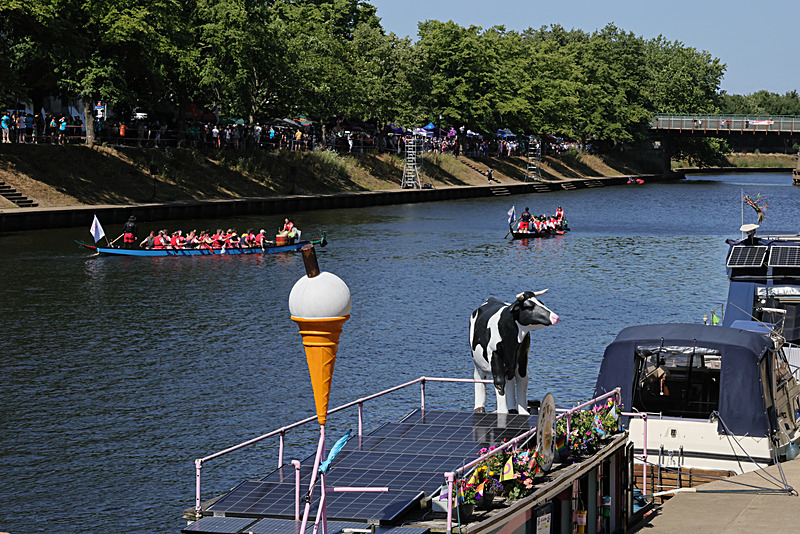THE YORK ROTARY DRAGON BOAT CHALLENGE 2026 - 70 of 426 - DRAGON BOAT RACE 2026. York Rotary Club.