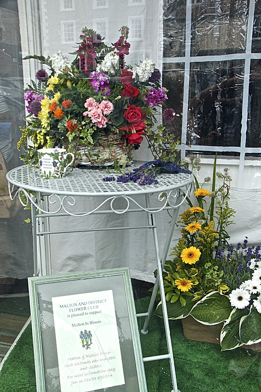 IMG_7378_2 - MALTON IN BLOOM 2017