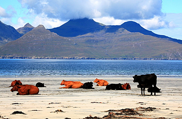 20100826_0164_2 - SCOTLAND 2010