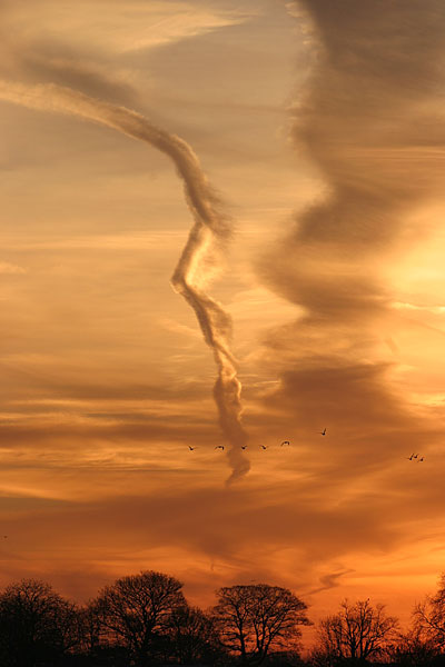 Morning Flight - MORNING ON YORK RACECOURSE