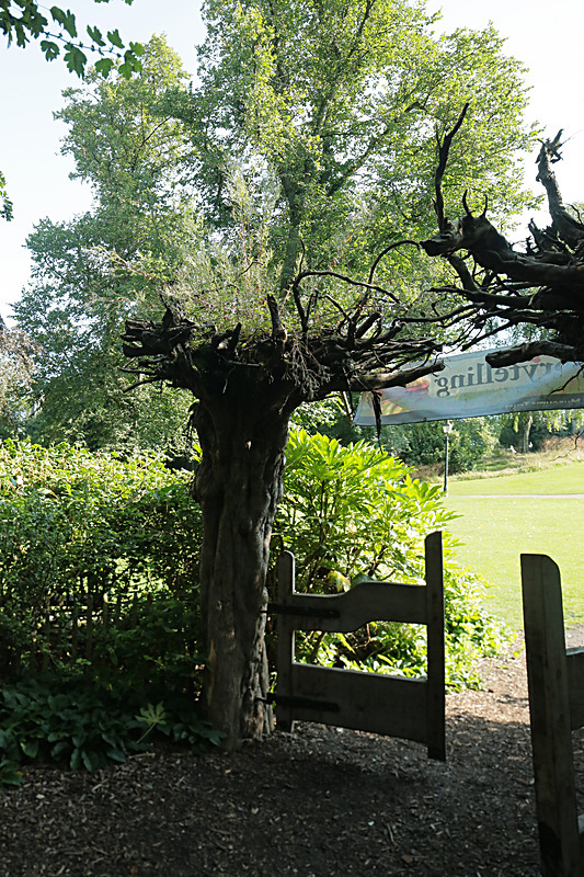 JULY 2014  -16 - FOUR SEASONS MUSEUM GARDENS