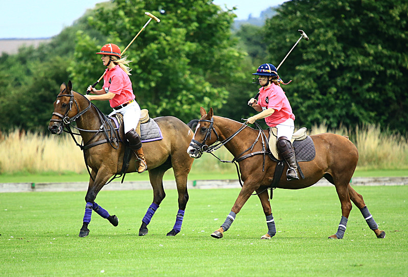 BV6R6818 - WHITE ROSE POLO CLUB LADIES DAY