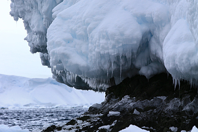  - ANTARCTICA NOV 2014