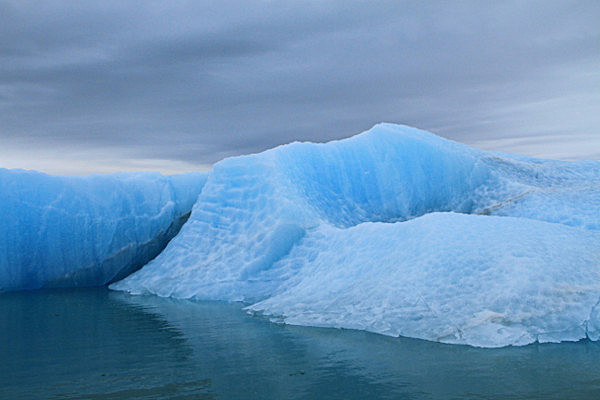 IMG_7744 - SVALBARD 2013