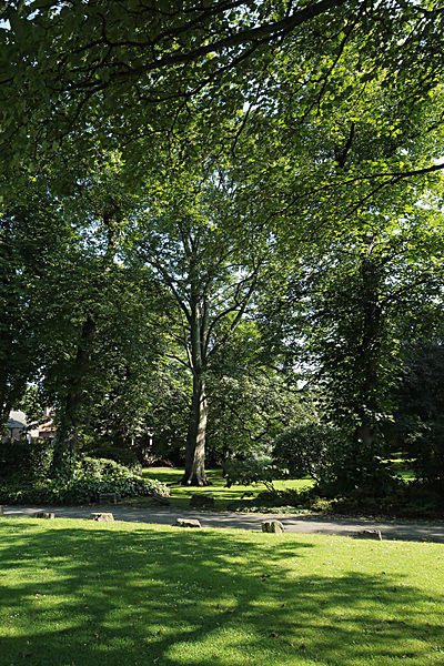 IMGL7737_2 - MUSEUM GARDENS