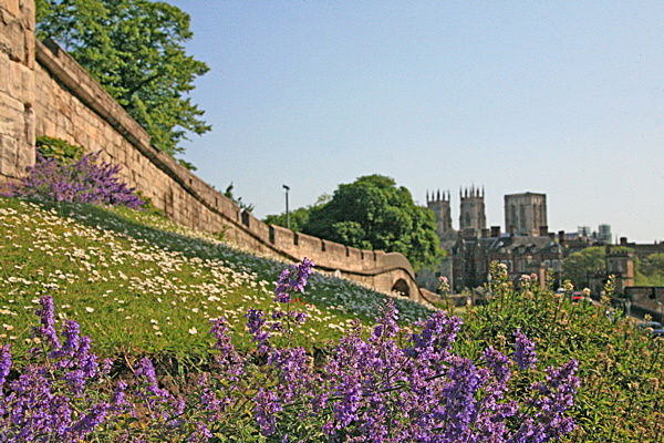 York City Walls in Summer - YORK AGAINST CANCER CALENDAR 2011