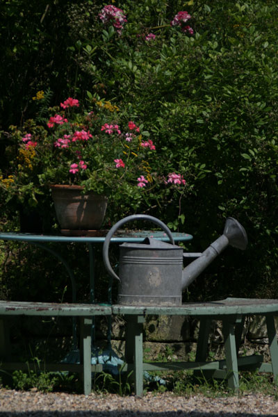 3 Watering can - FLOWERS