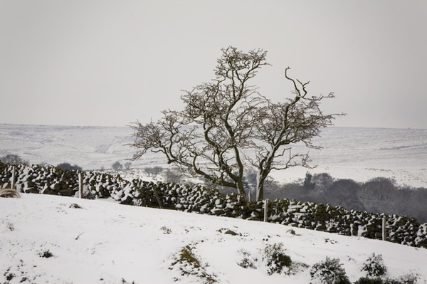 GOATHLAND - WINTER, NORTH YORKSHIRE