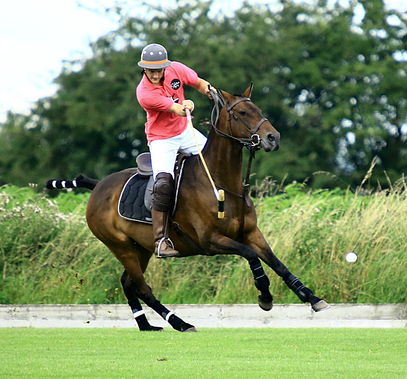 BV6R6822 - WHITE ROSE POLO CLUB LADIES DAY