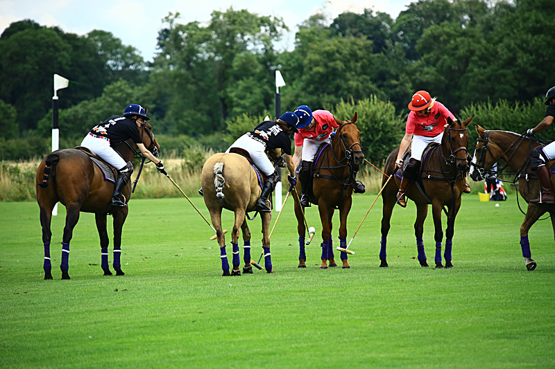 BV6R6781 - WHITE ROSE POLO CLUB LADIES DAY
