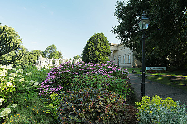 IMGL7609 - MUSEUM GARDENS