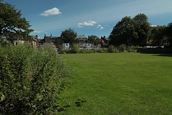 IMGL7884 - MUSEUM GARDENS