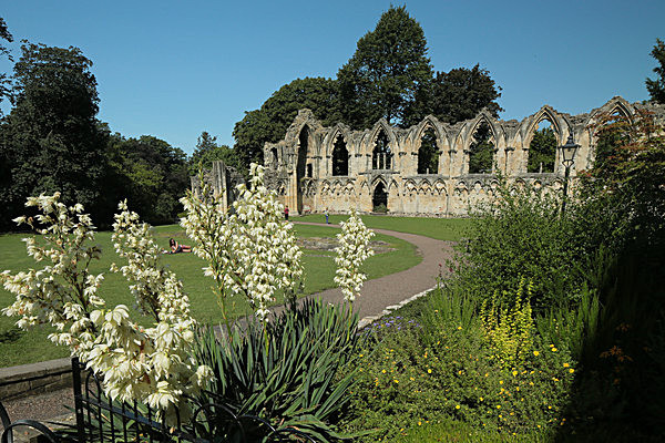 IMGL7780 - MUSEUM GARDENS
