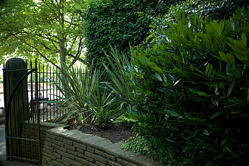 JULY 2014  -18 - FOUR SEASONS MUSEUM GARDENS