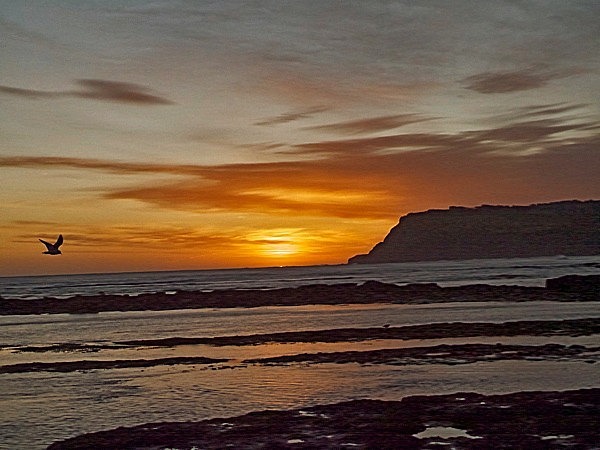 P1000169 copy - ROBIN HOOD'S BAY 2012