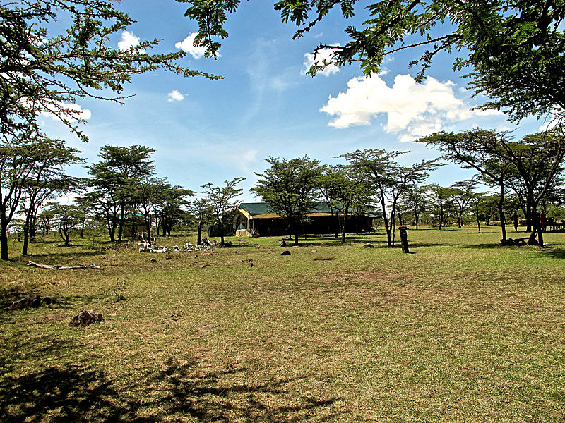  - MASAI MARA, KENYA  OCT 2014