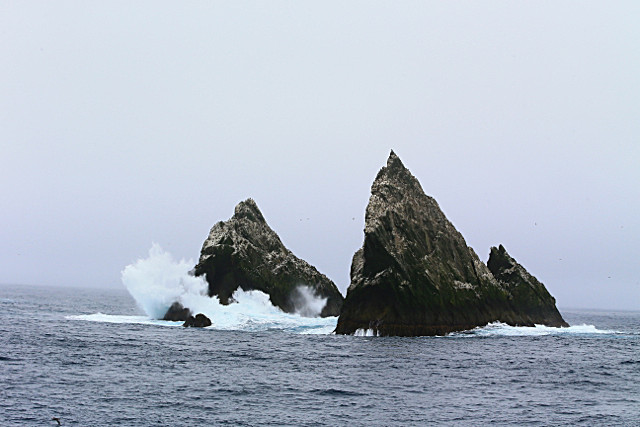  - ANTARCTICA NOV 2014