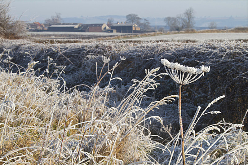 100_4855 - FIELDS OF SNOWYOULTHORPEE YORKS - PORTFOLIO 2015