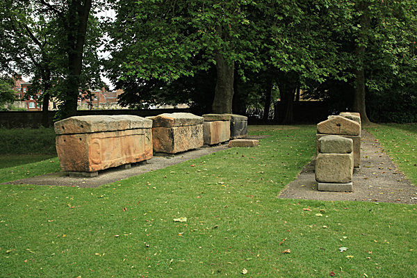 IMG_7638 - MUSEUM GARDENS