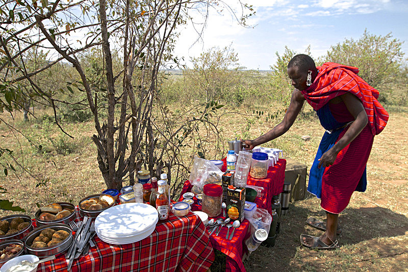  - MASAI MARA, KENYA  OCT 2014