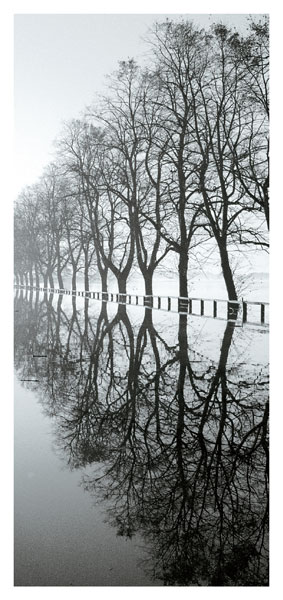 REFLECTIOS, KNAVESMIRE RD, YORK - JOE CORNISH EXHIBITION PHOTOS. SAT 2nd Feb - 27th Feb 2008