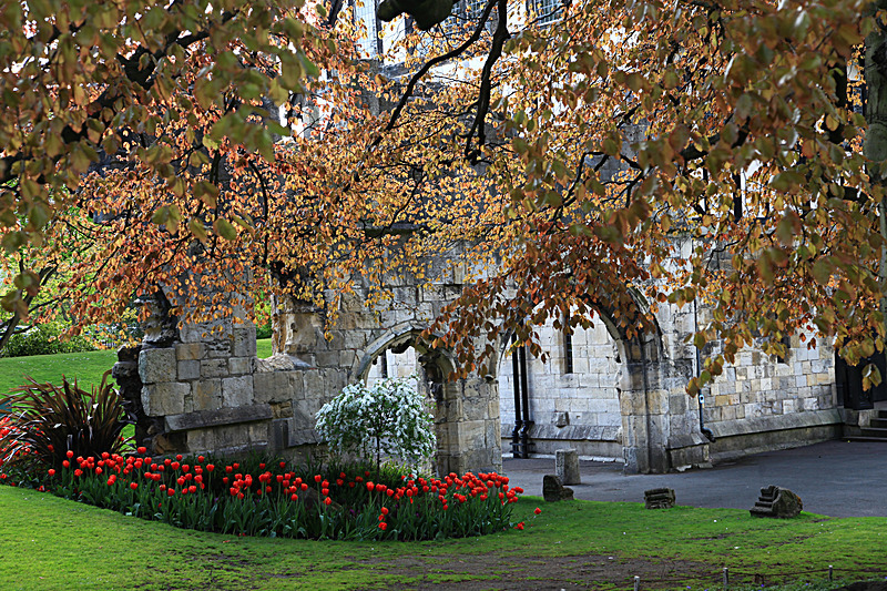 MAY 2015 -2 - FOUR SEASONS MUSEUM GARDENS