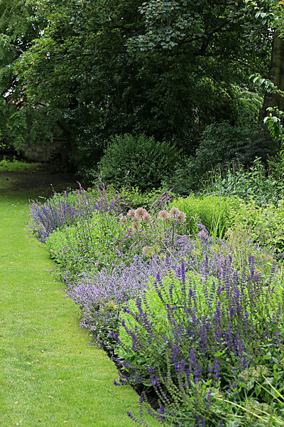 IMGL5578_2 - MUSEUM GARDENS