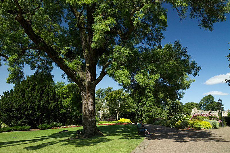 JULY 2014 -8 - FOUR SEASONS MUSEUM GARDENS