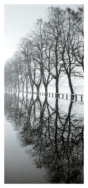 1  REFLECTIONS - YORK