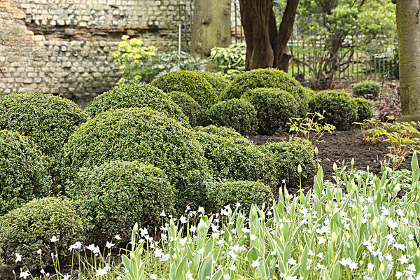 IMGL2100 - MUSEUM GARDENS