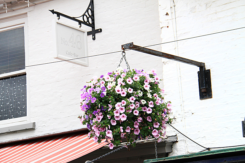 IMG_7398 - MALTON IN BLOOM 2017
