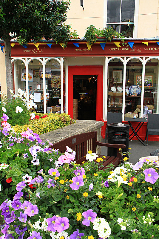 IMG_7421_2 - MALTON IN BLOOM 2017