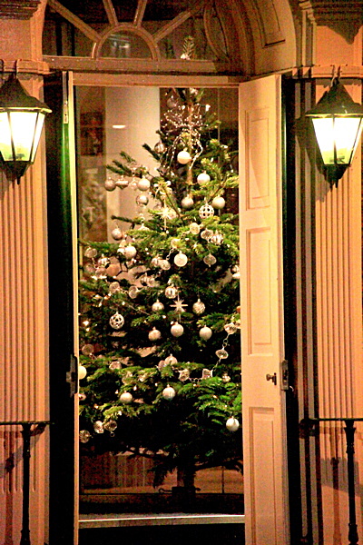IMG_2889 Christmas Tree at the Dean Court CS2 - YORK AGAINST CANCER CORPORATE CARD CHOICE 2010