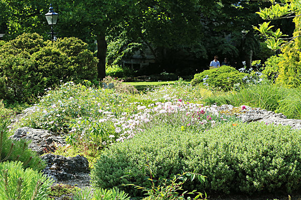 IMGL6005 - MUSEUM GARDENS