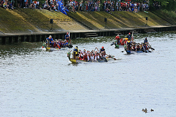 IMGL6788 - DRAGON BOAT RACE 2014 York Rotary Club