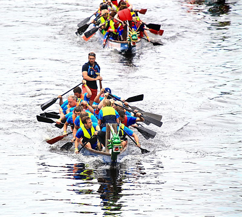 DRAGON BOAT RACE 10 July 2016 - 179 of 549 - DRAGON BOAT RACES 2016 York Rotary Club