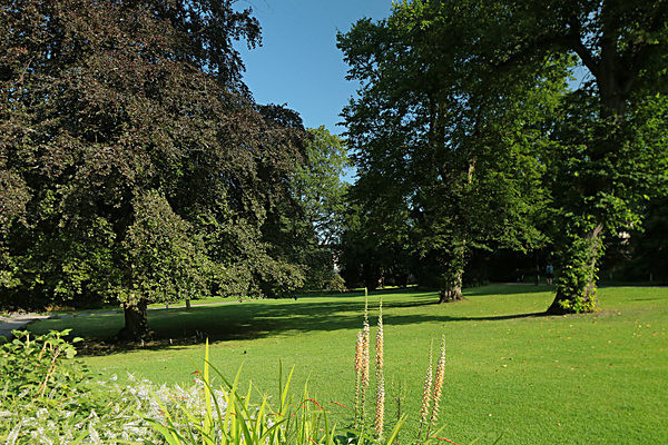 IMGL7687 - MUSEUM GARDENS