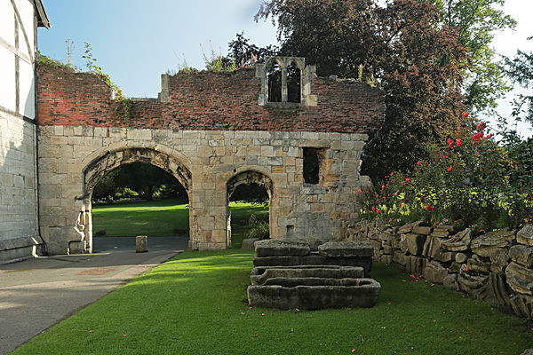 IMGL7707 - MUSEUM GARDENS