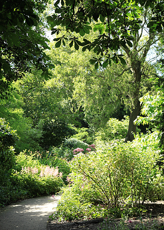 JULY 2014-5 - FOUR SEASONS MUSEUM GARDENS