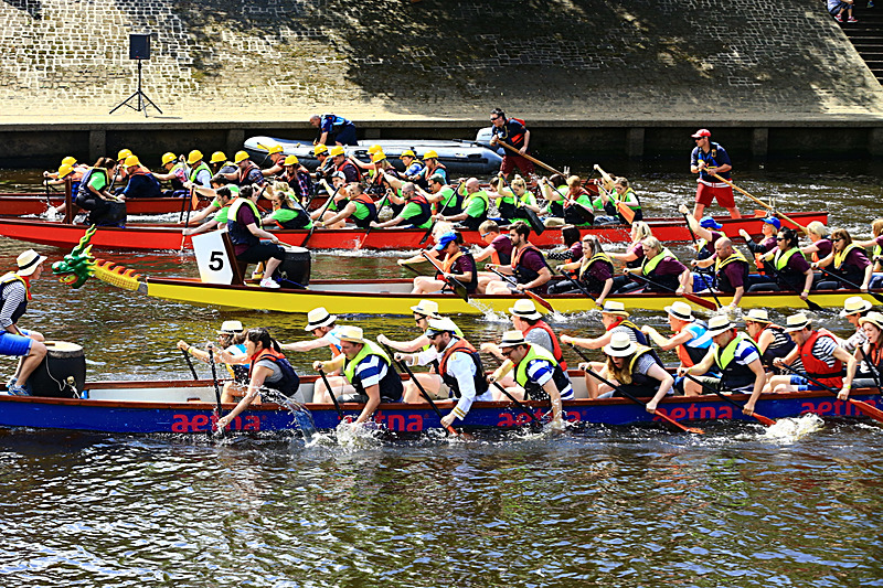 BV6R4353 - DRAGON BOAT RACE 2017