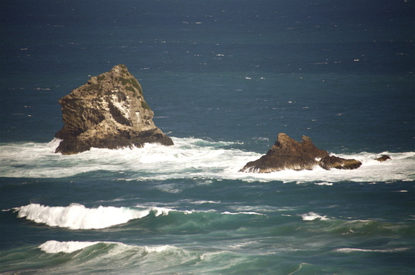 SAND FLY BEACH, DUNEDIN - NEW ZEALAND
