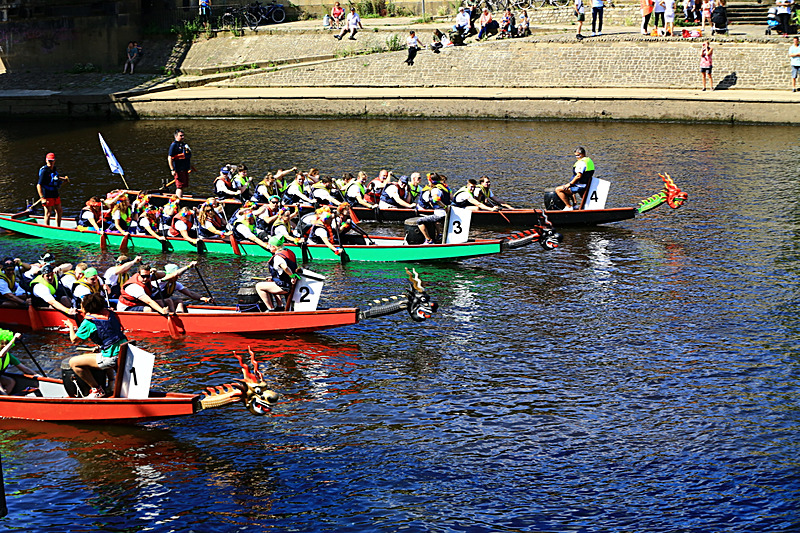 BV6R4471 - DRAGON BOAT RACE 2017