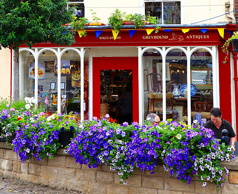IMG_3327 - MALTON IN BLOOM 2017