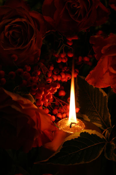 2  . Candle and Berries - CHRISTMAS